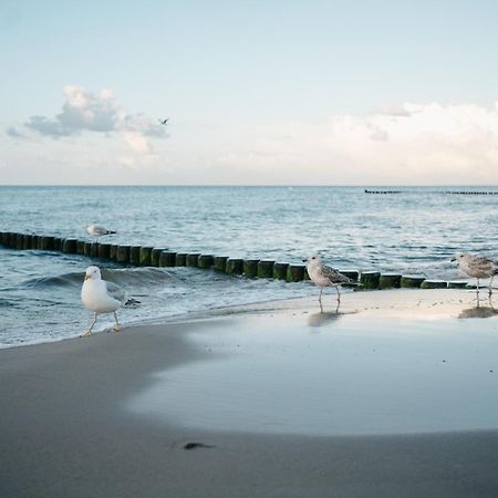 Kamphof Usedom Ferienanlage Loddin Esterno foto