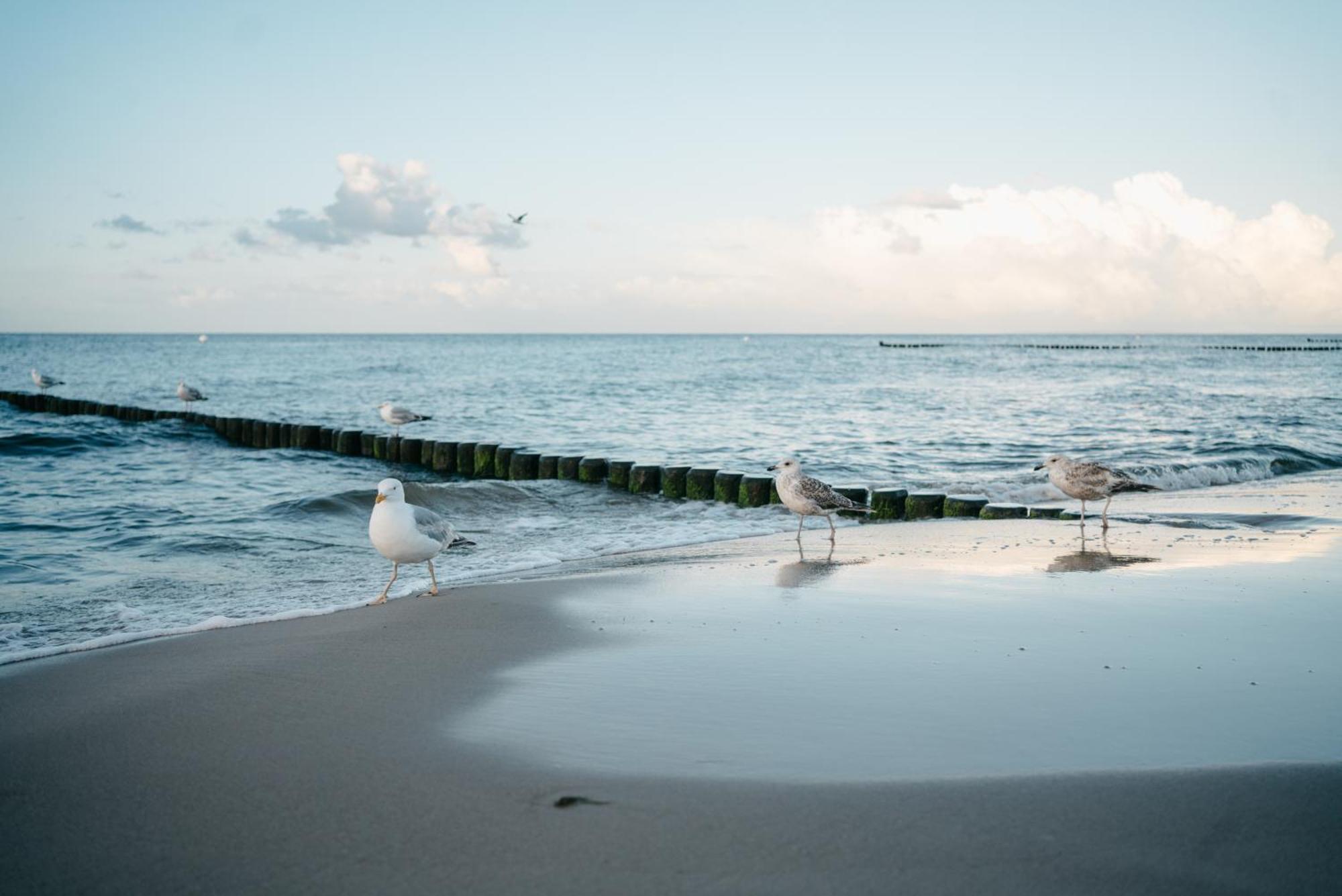 Kamphof Usedom Ferienanlage Loddin Esterno foto